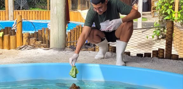 Estudante de Medicina Veterinária da Unifeob conclui estágio no Projeto Tamar e reforça paixão pela conservação marinha